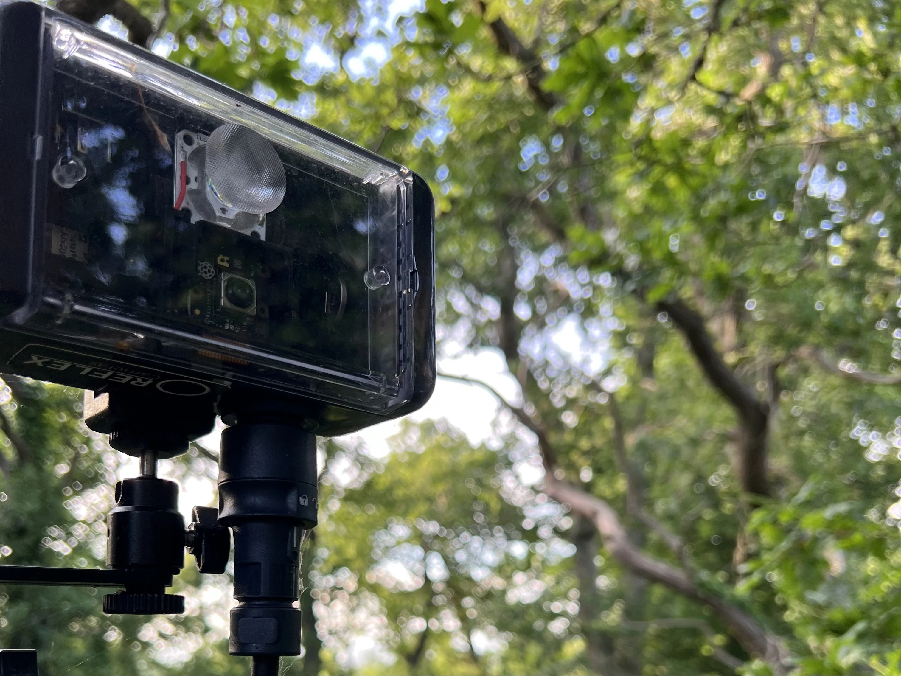 Reflex camera deployed outdoors