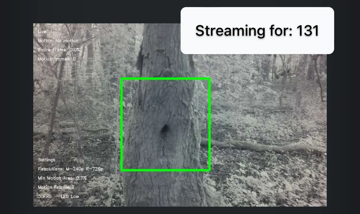 Live camera view with a motion detection zone