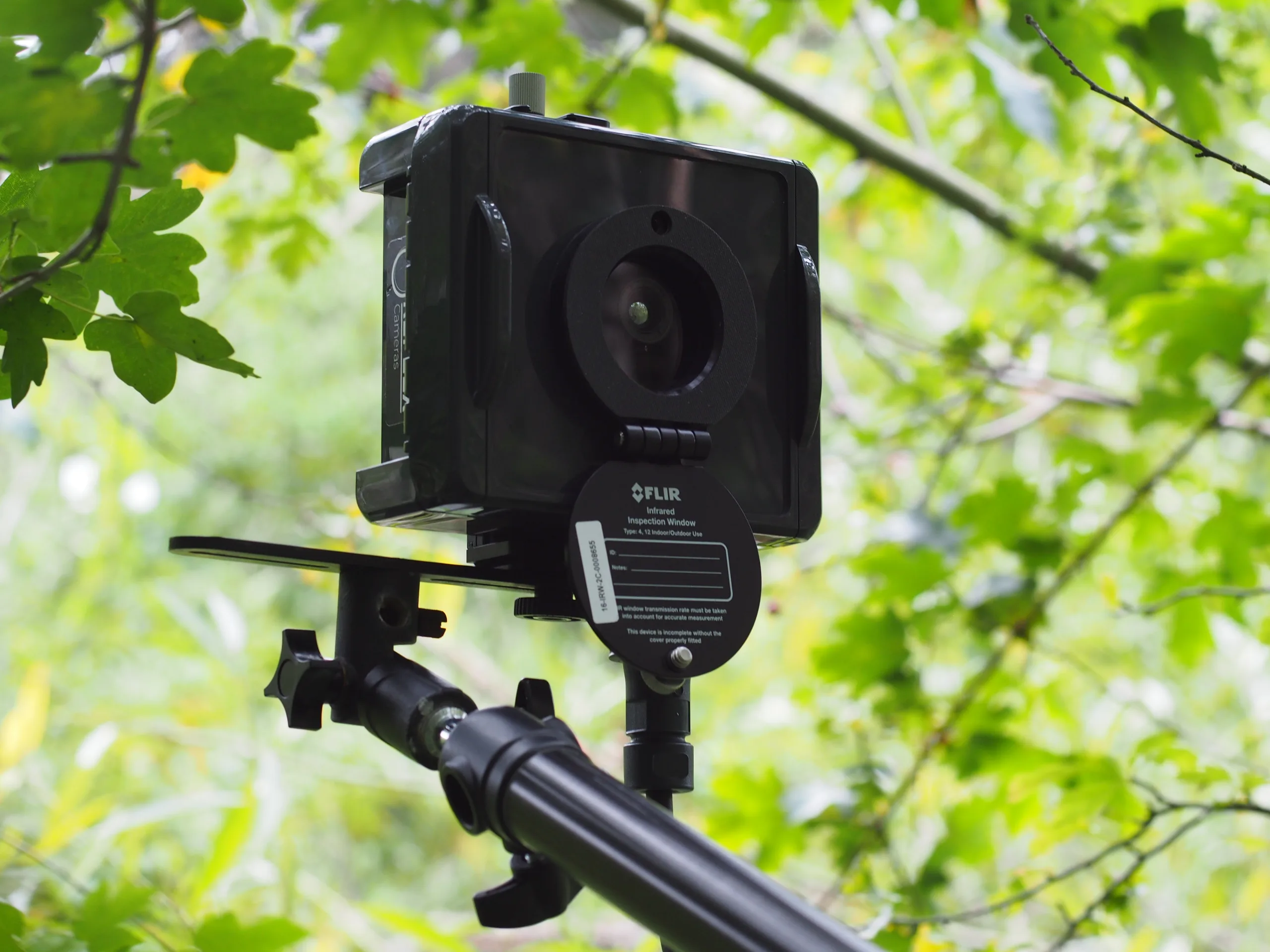 Reflex thermal camera mounted securely in a tree