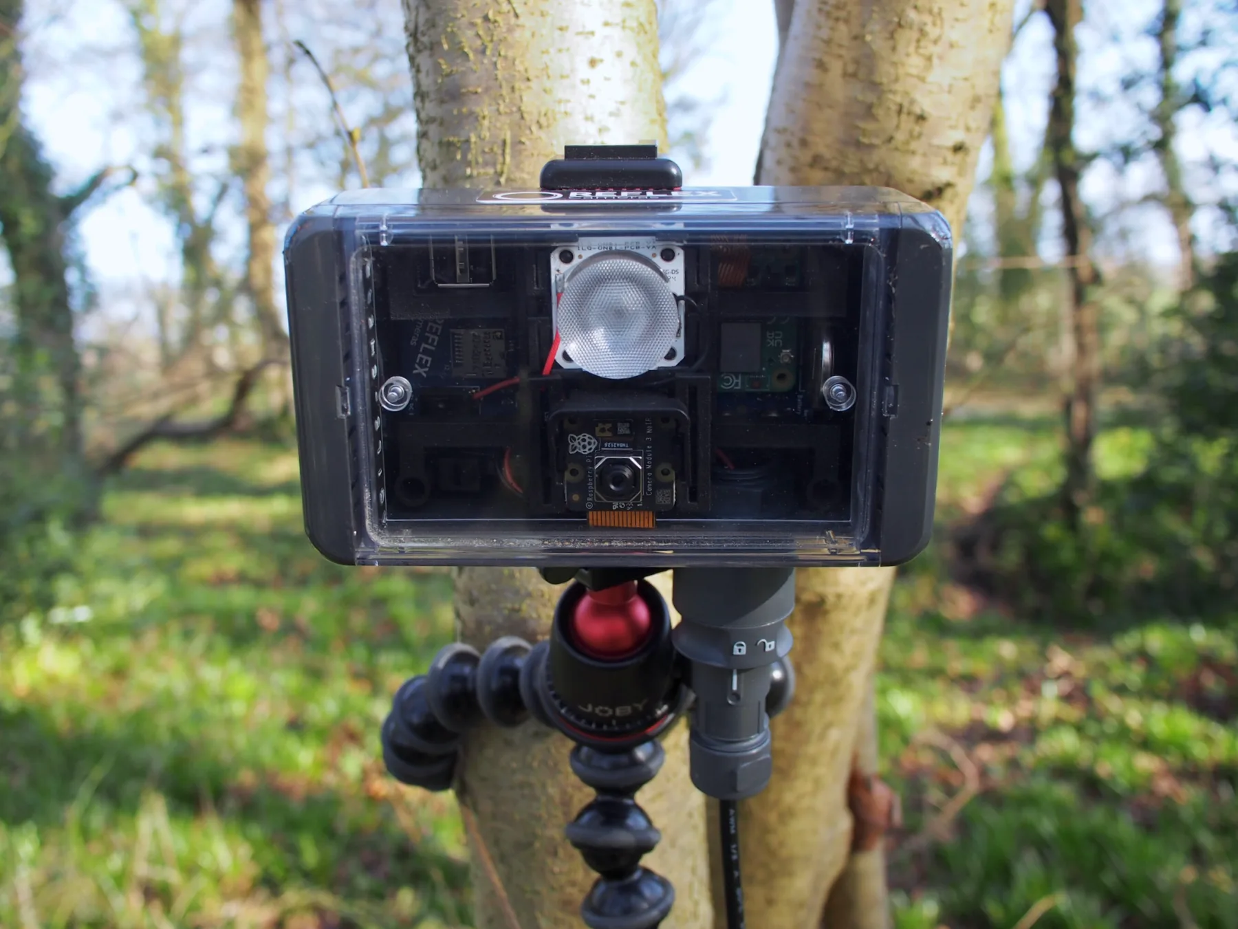 Reflex Standard camera mounted in woodland