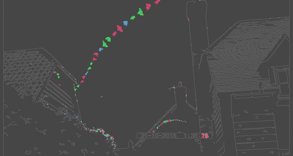 Infra-red Bat Motion Summary 3