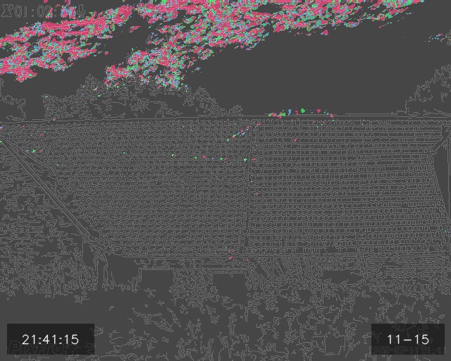 Thermal Bat Motion Summary
