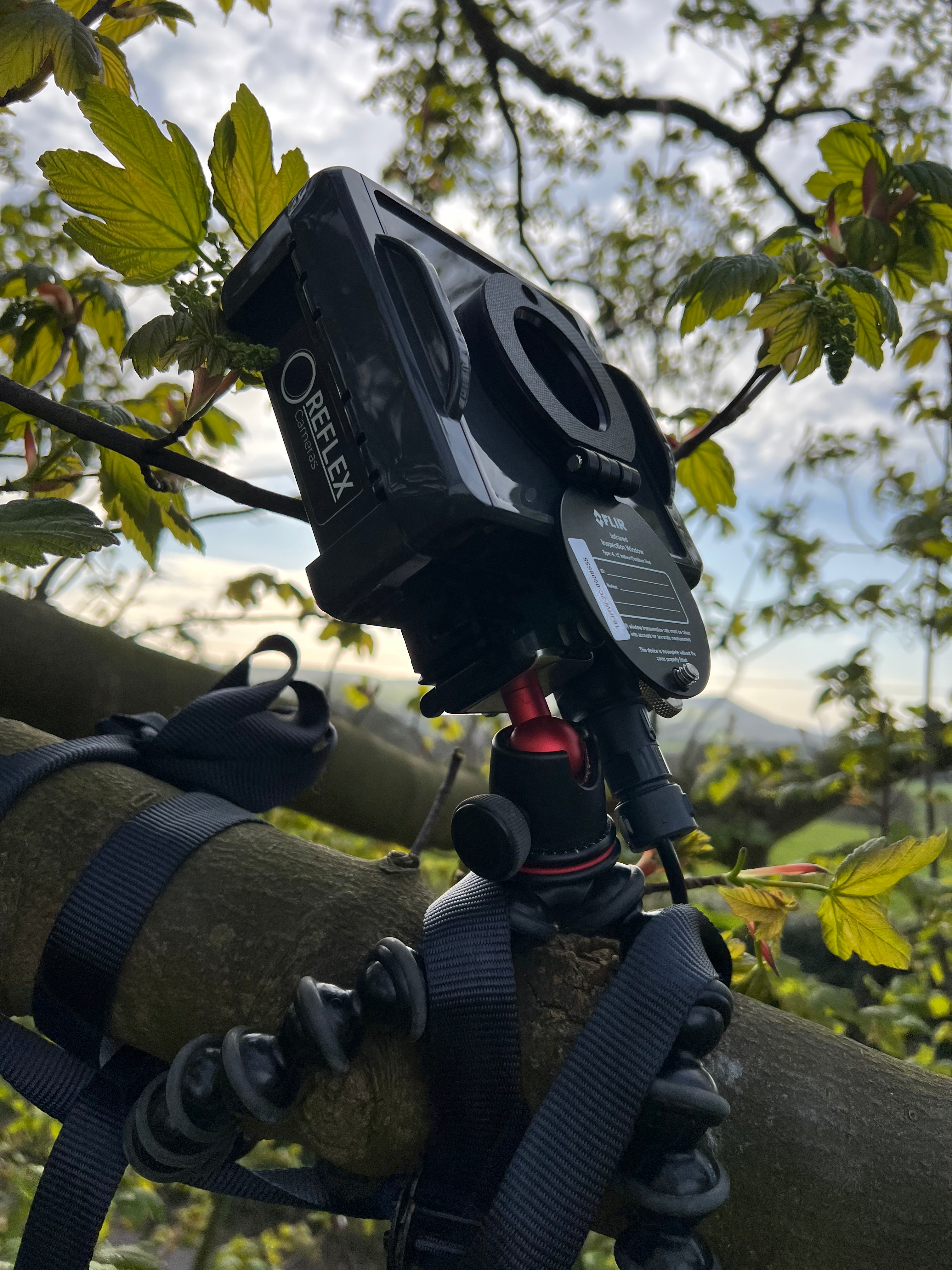 Reflex thermal camera mounted securely in a tree