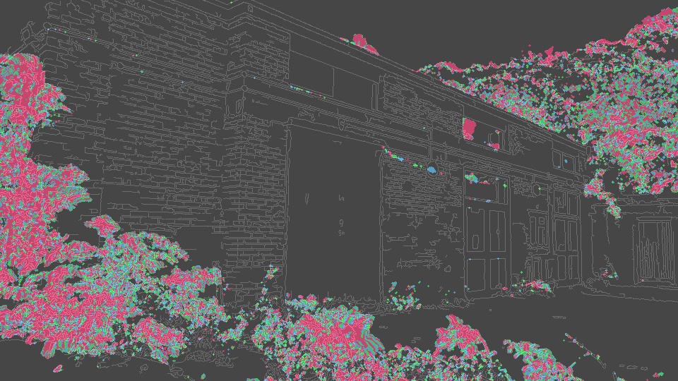 Infra-red Bat Motion Summary 1