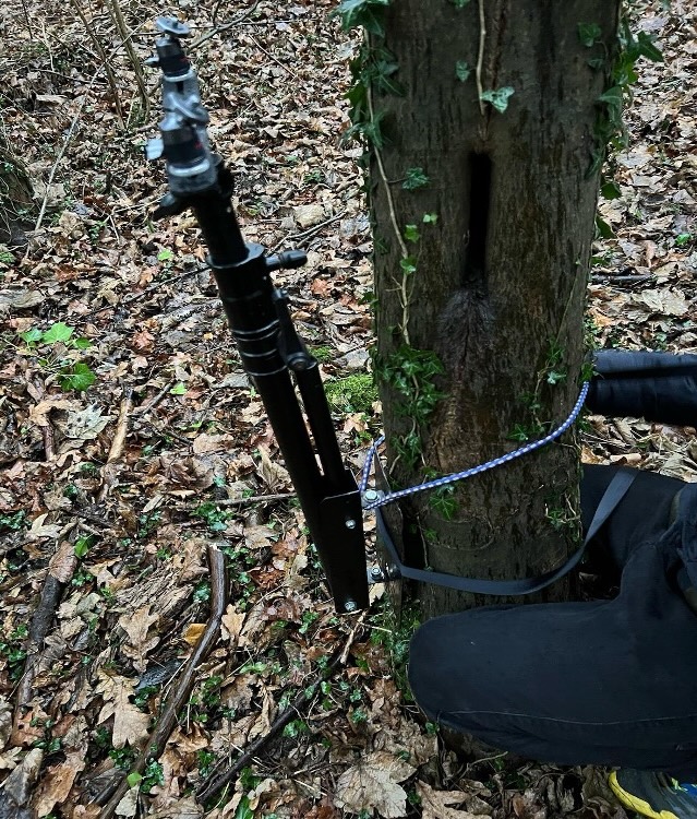 Light Stand Setup
